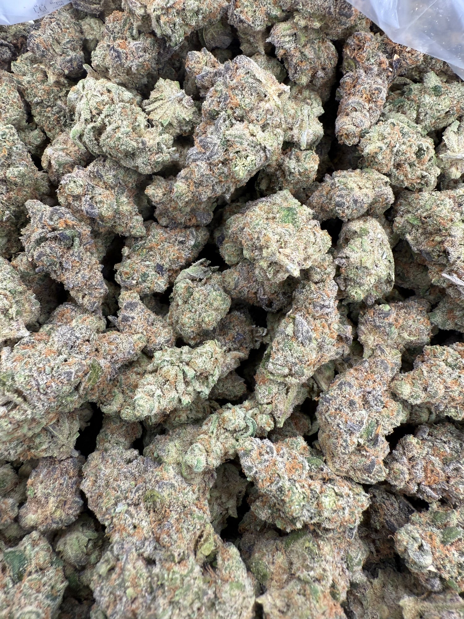 Blackberry Gelato | Exotics by THCA Nugs™