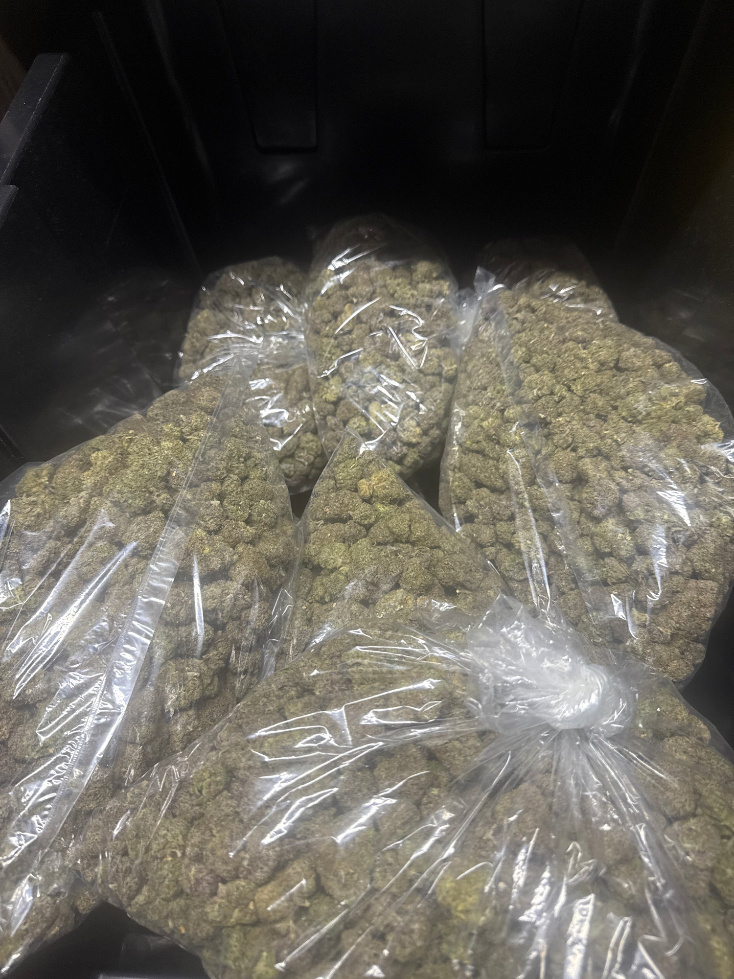 Upside Down Runtz THCA Flower | Nugs™ Premium Exotic Hybrid
