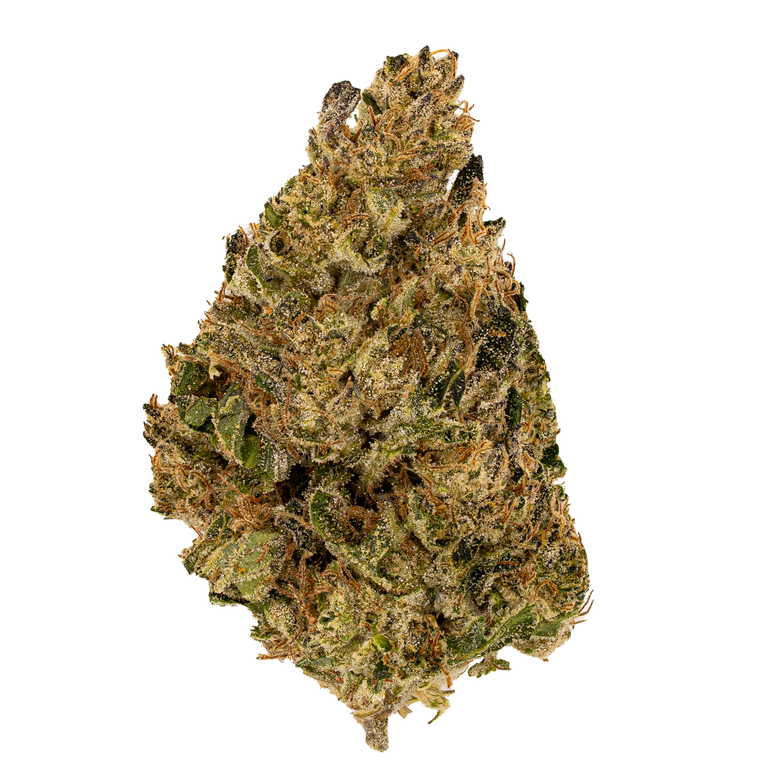 Hazed & Confused | Light Dep by THCA Nugs