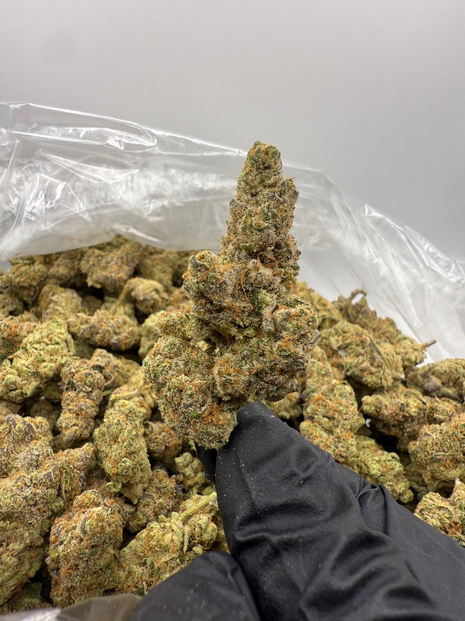 Blackberry Gelato THCA Flower | Nugs™ Premium Exotic Hybrid