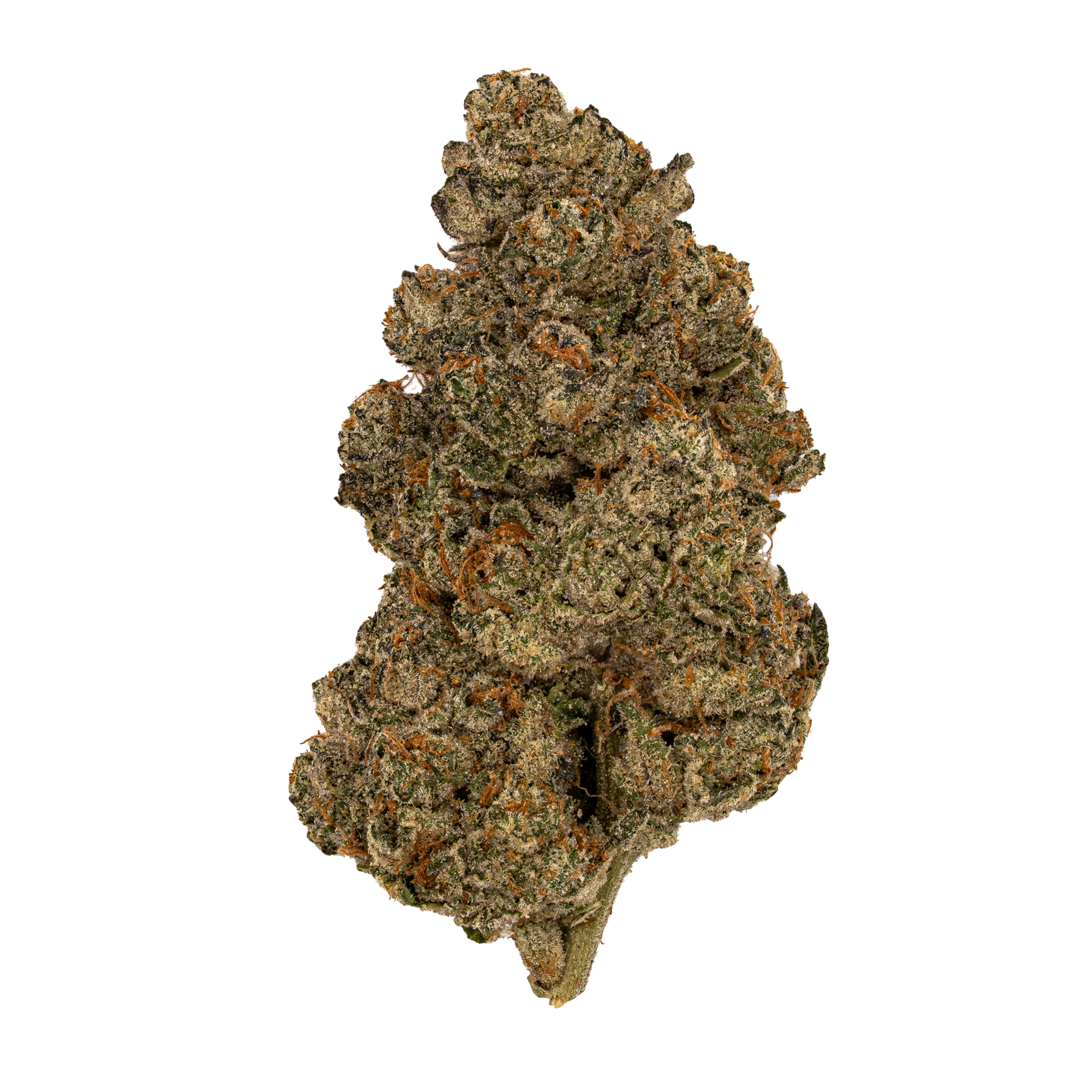 Gas Cake THCA Flower | Nugs™ Premium Exotic Hybrid
