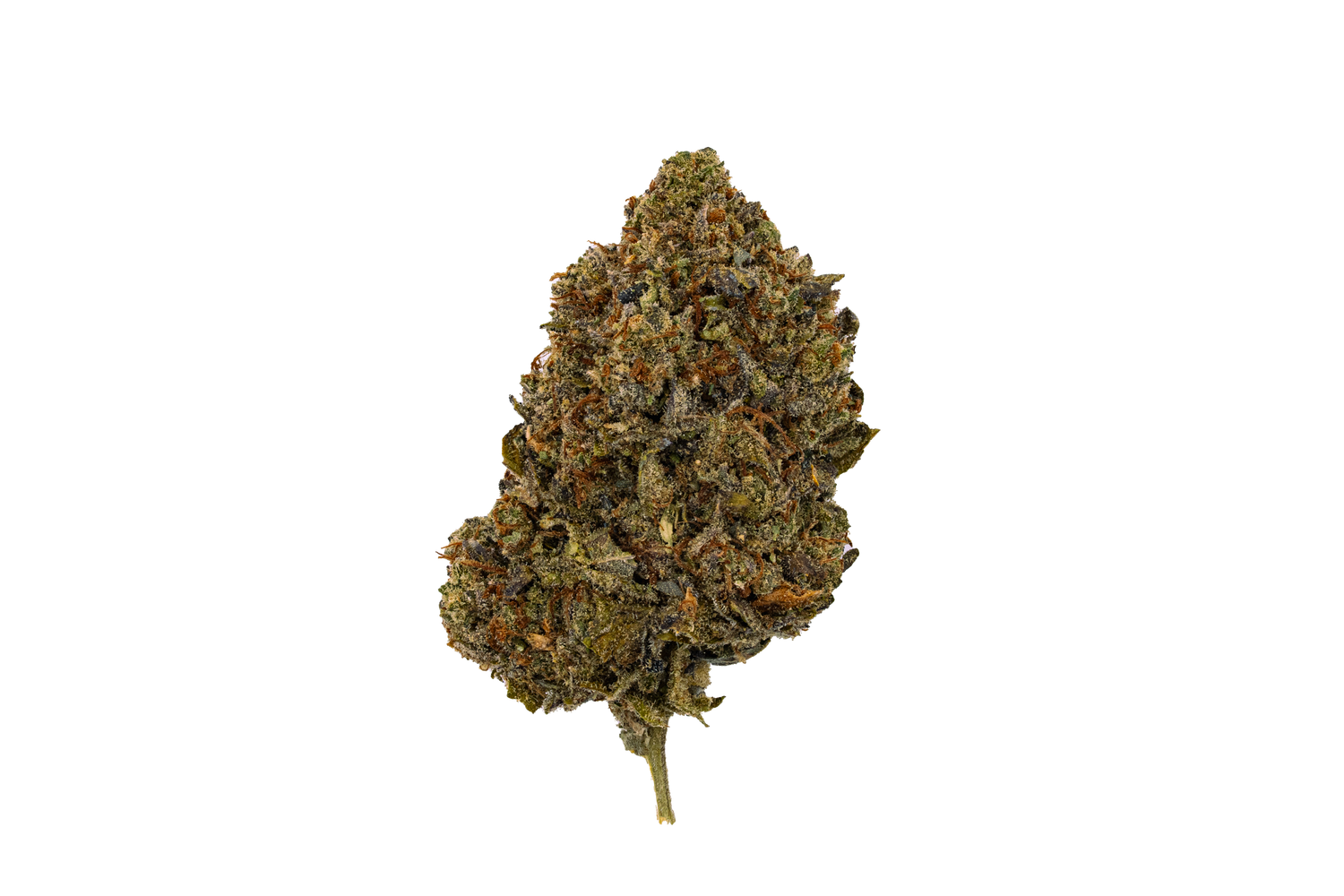 Tropicana Cookies THCA Flower (Lows) | Nugs™ Affordable Hybrid