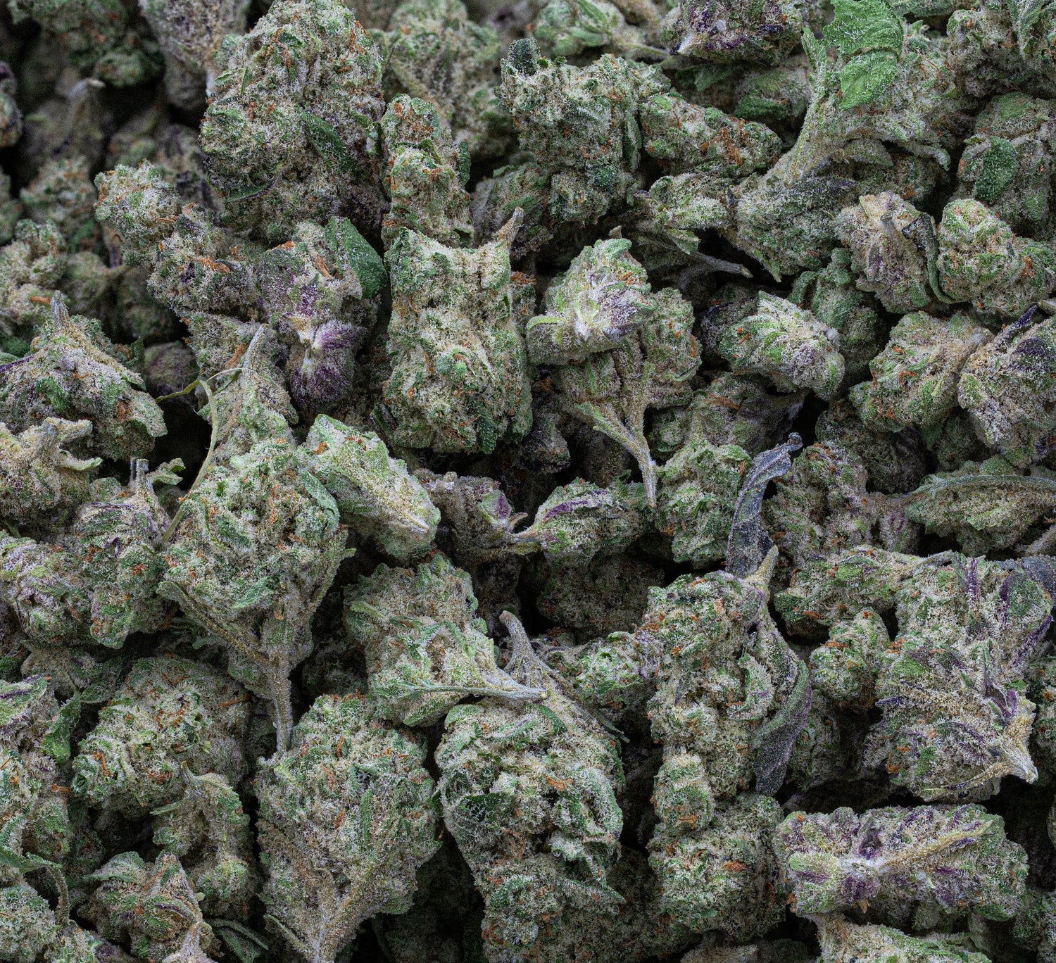 Stardust | Smalls by THCA Nugs