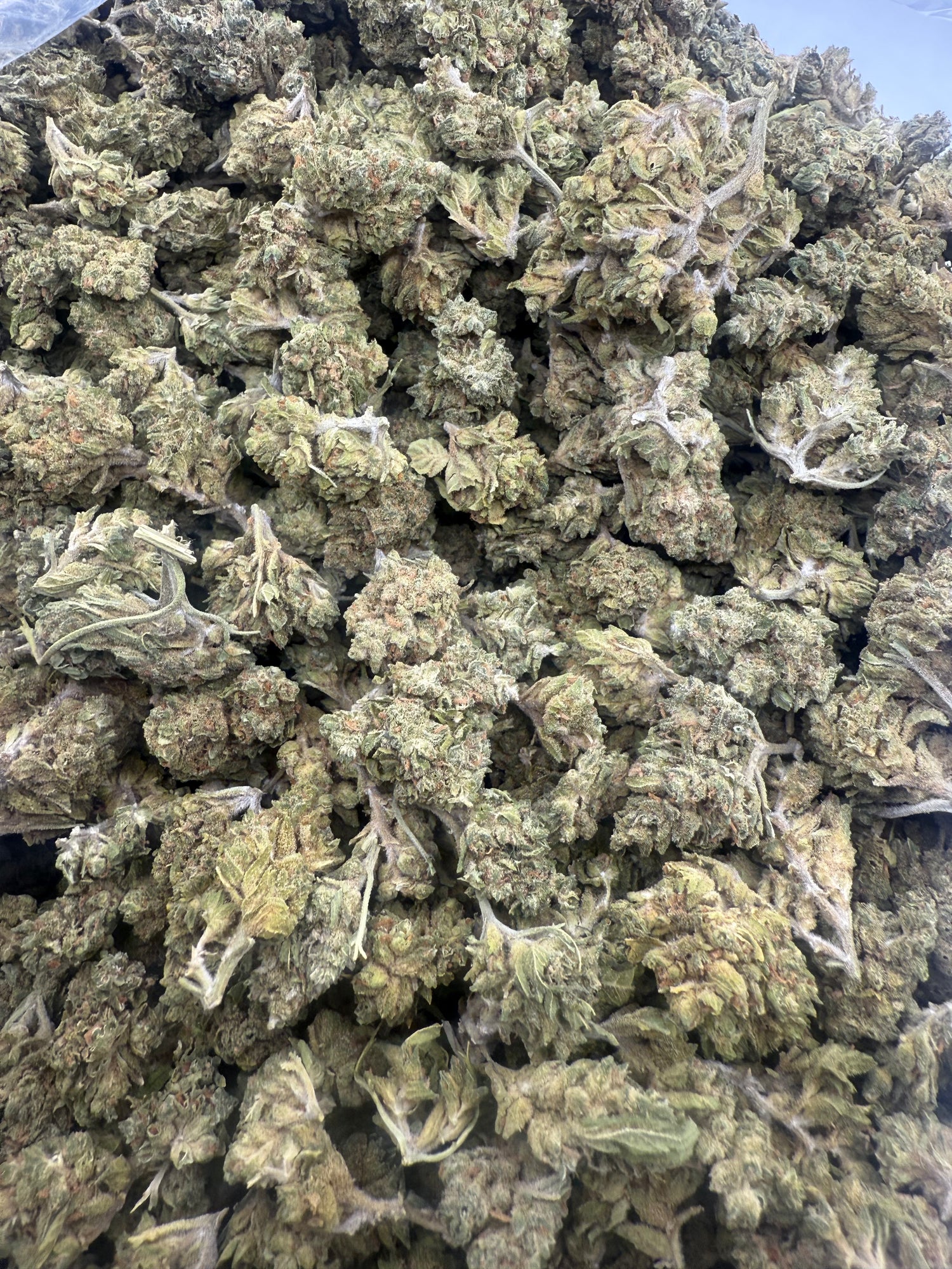 Skywalker OG THCA Flower | Nugs™ Premium Classic Indica