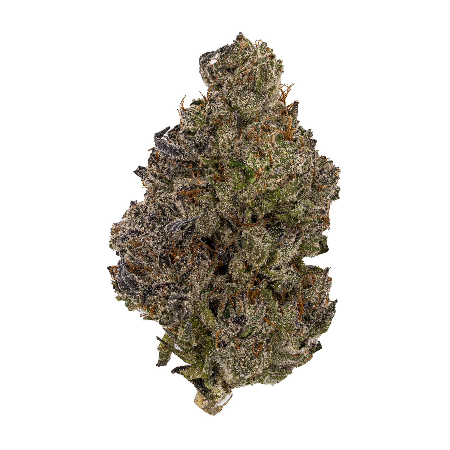 Close-up of a Mule Fuel Exotic THCA Nug without a background