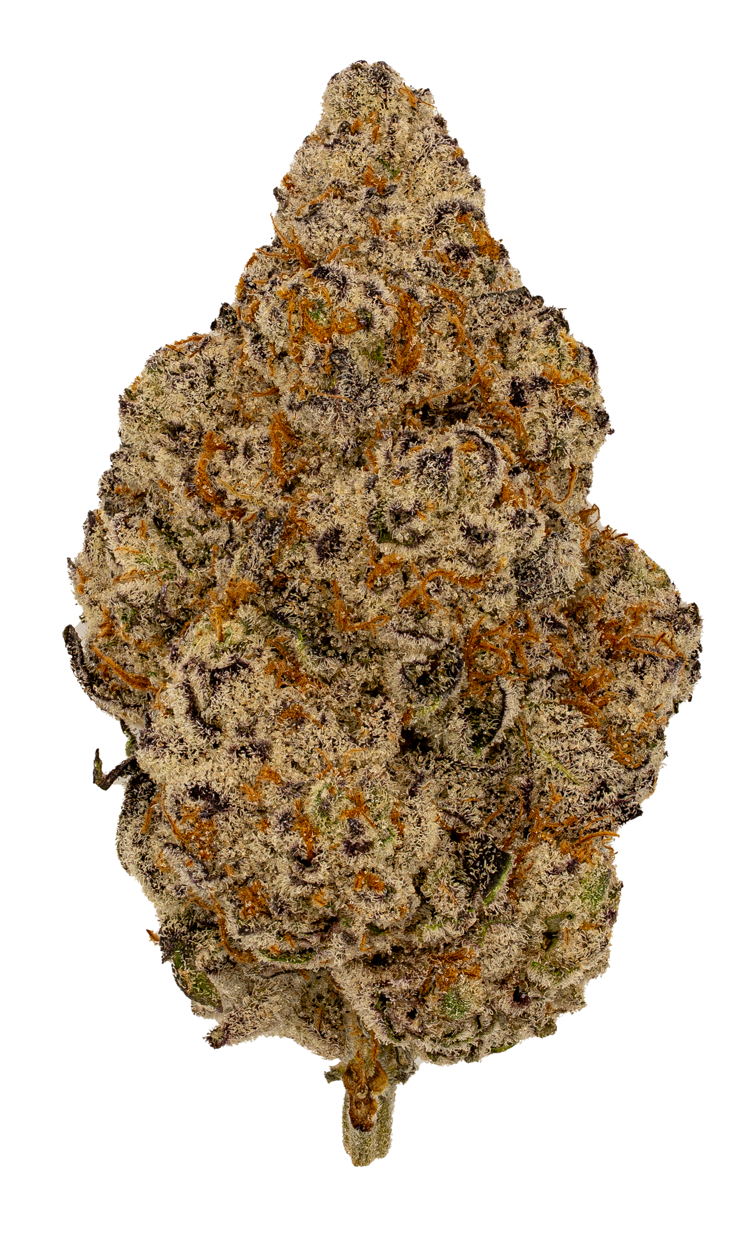 White Zerb | Exotic by THCA Nugs