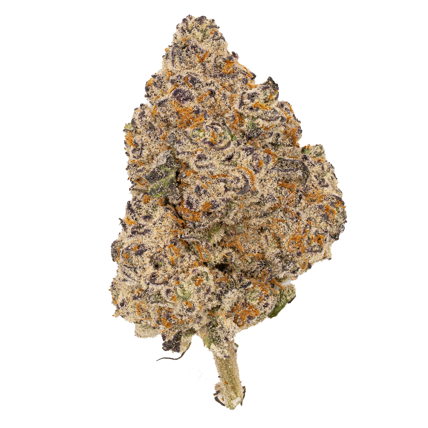 White Zerb | Exotic by THCA Nugs