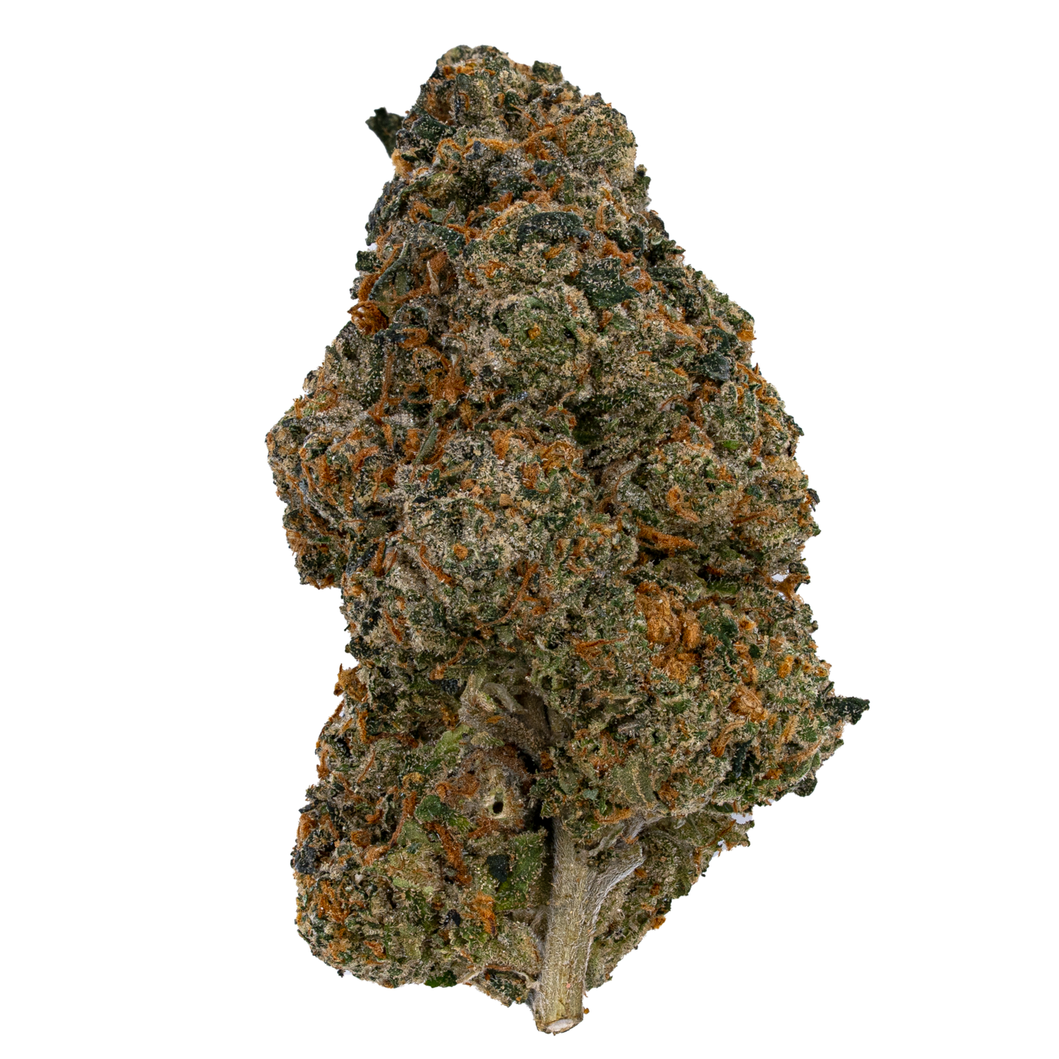 Gold Rose Runtz THCA Flower | Nugs™ Premium Exotic Hybrid