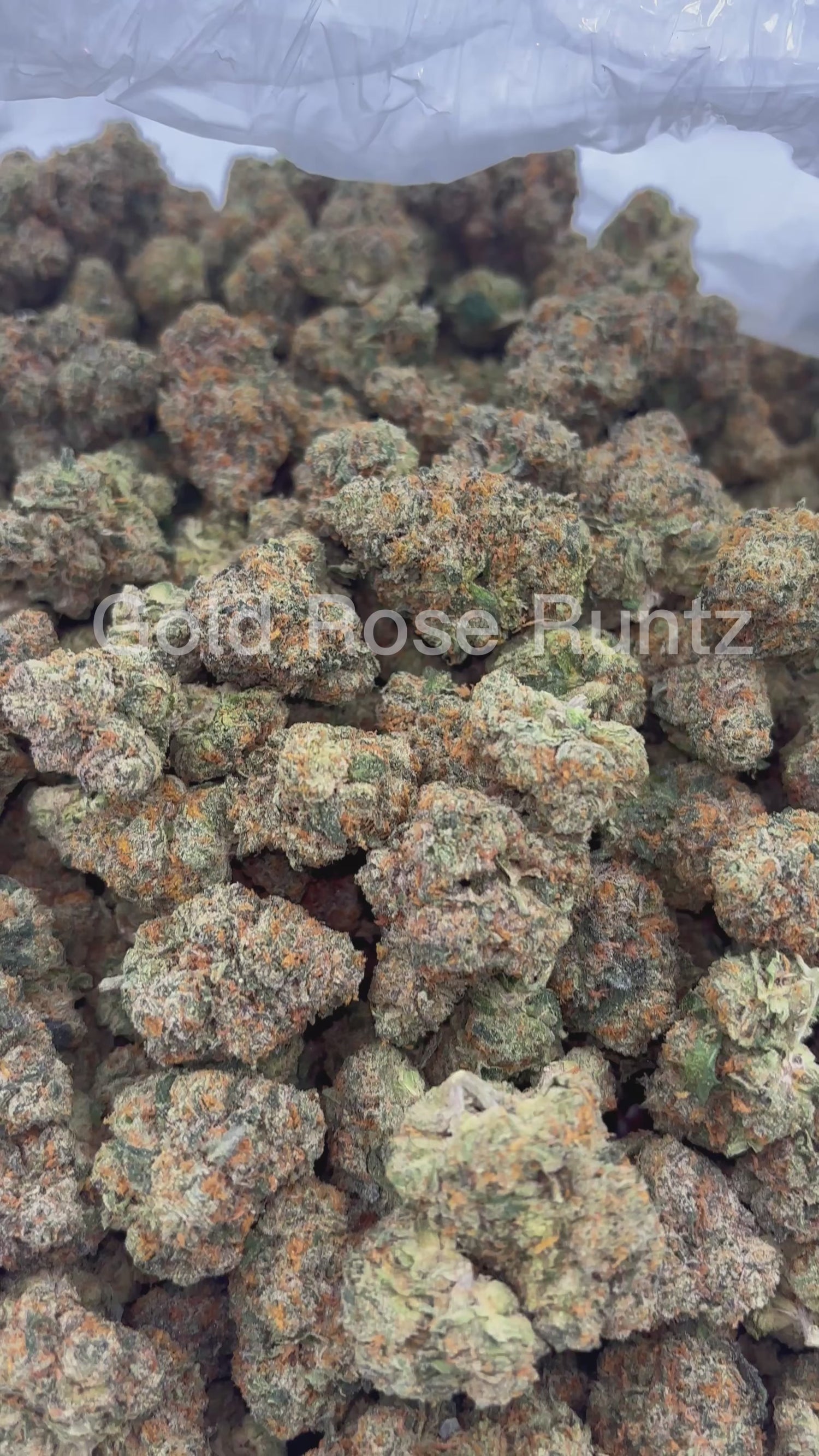 Gold Rose Runtz THCA Flower | Nugs™ Premium Exotic Hybrid