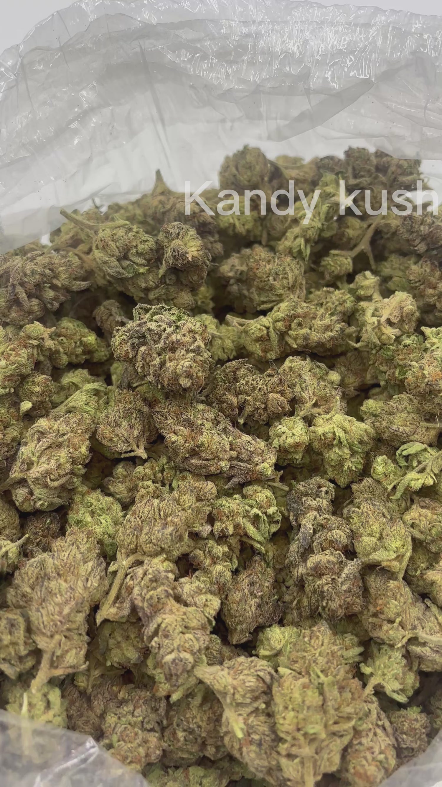 Kandy Kush THCA Flower | Nugs™ Premium Exotic Hybrid