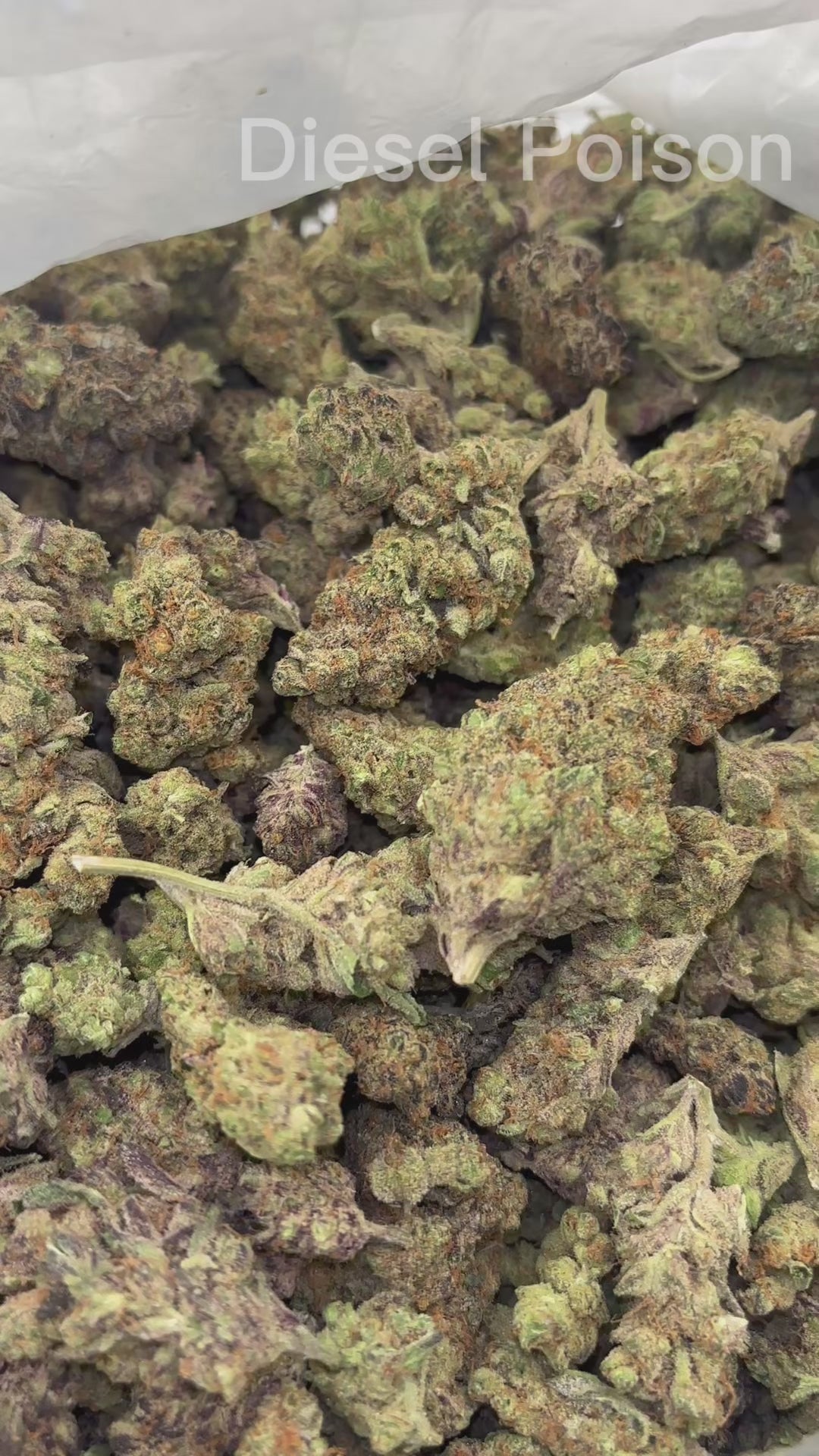 Diesel Poison THCA Flower | Nugs™ Premium Exotic Sativa Hybrid