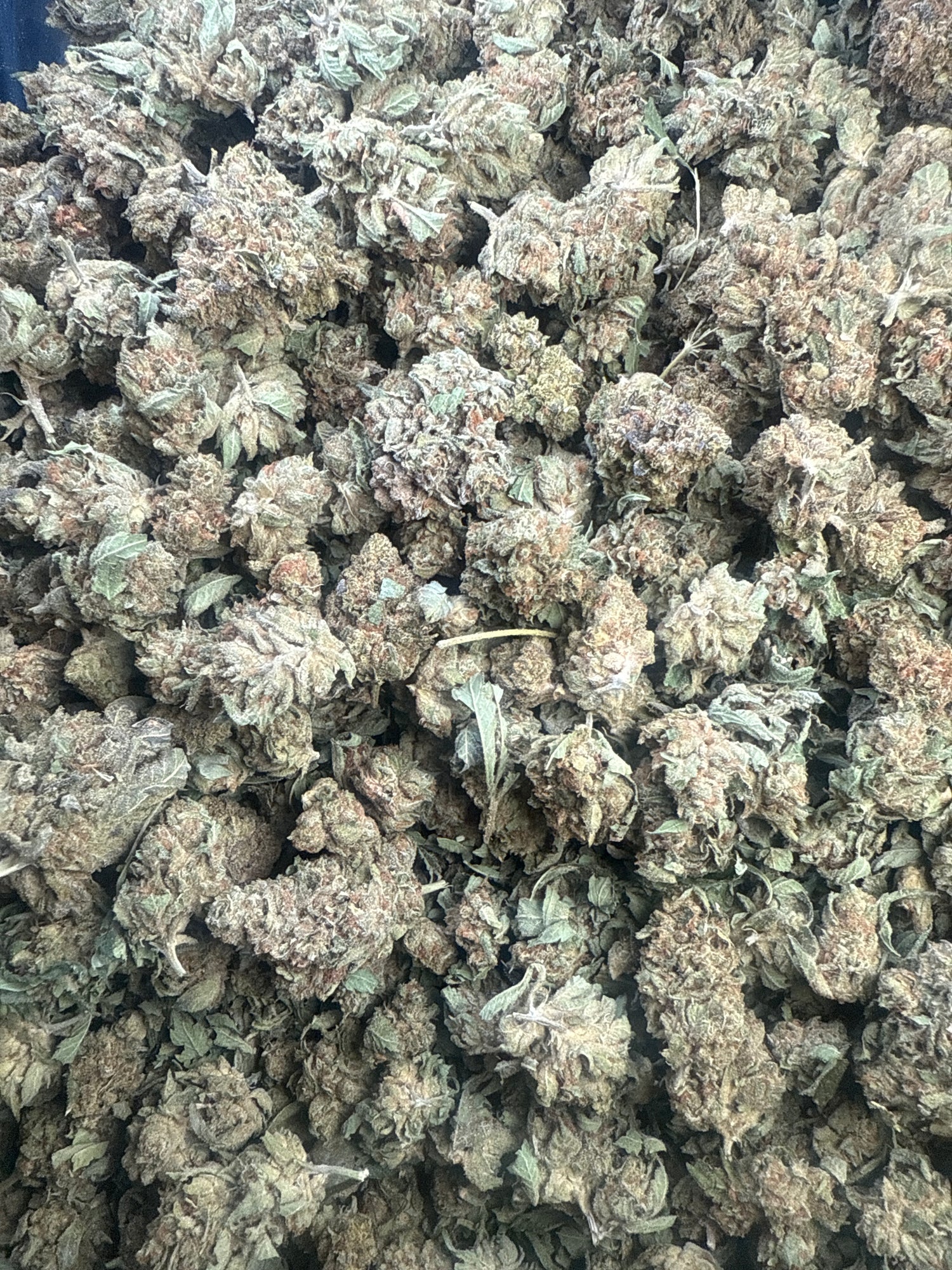 Cereal Milkz THCA Flower (Lows) | Nugs™ Affordable Hybrid