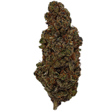 Diesel Poison THCA Flower | Nugs™ Premium Exotic Sativa Hybrid