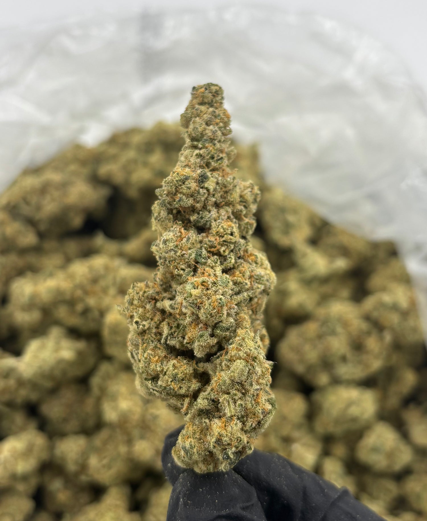 Gush Mintz THCA Flower | Nugs™ Premium Exotic Hybrid