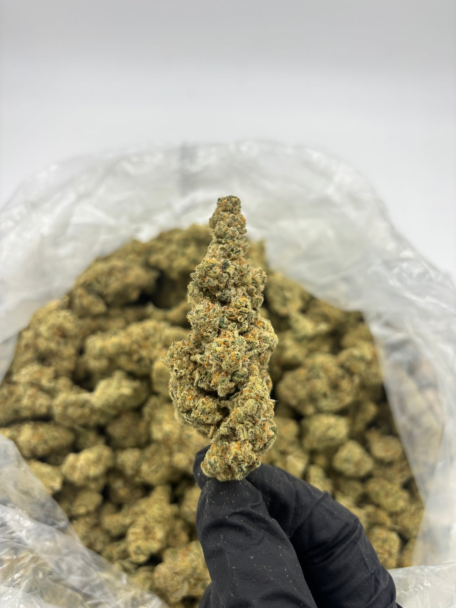 Gush Mintz THCA Flower | Nugs™ Premium Exotic Hybrid