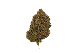 Tropicana Cookies THCA Flower (Lows) | Nugs™ Affordable Hybrid