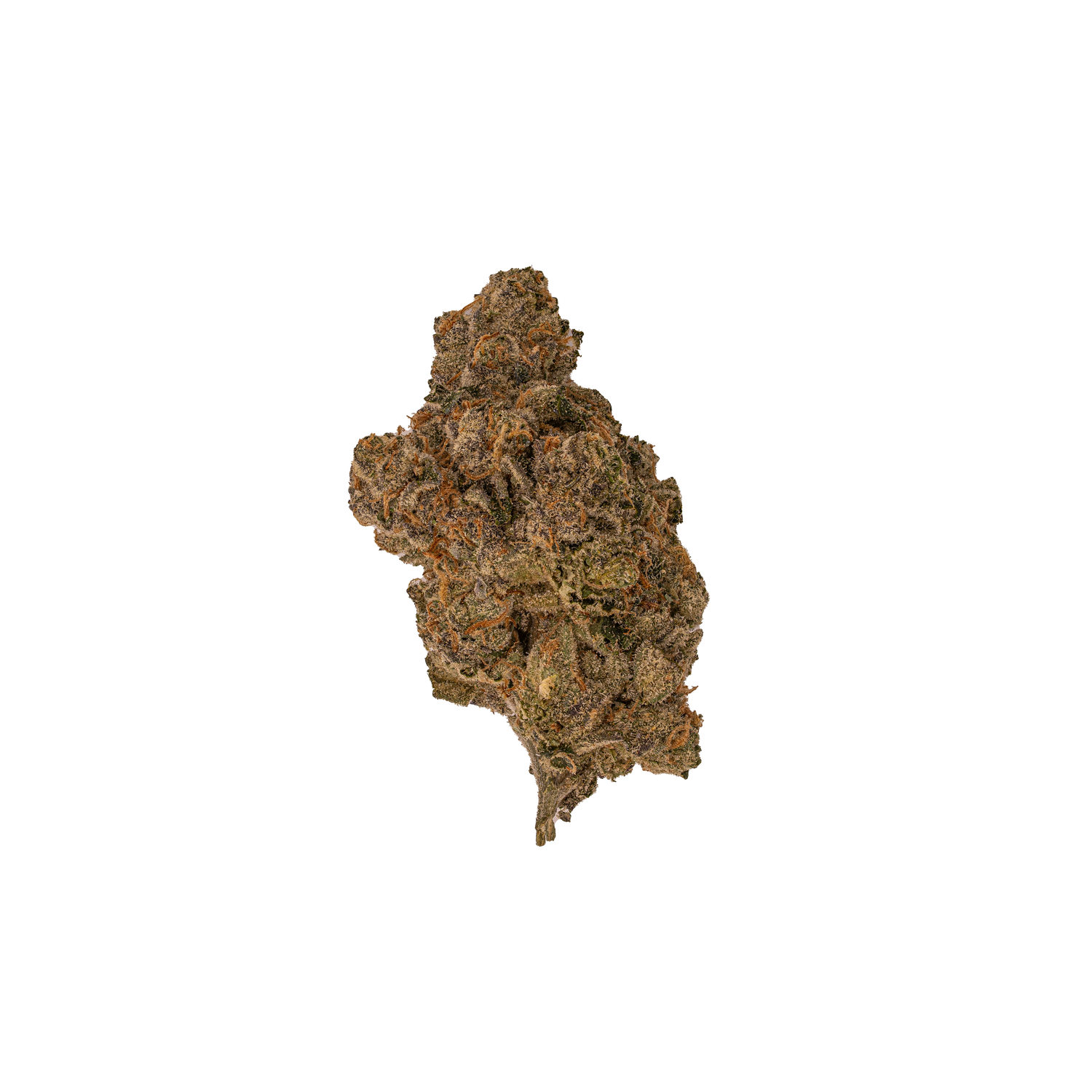 Golden Ticket | Exotic THCA Nugs