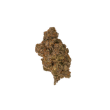 Golden Ticket | Exotic THCA Nugs