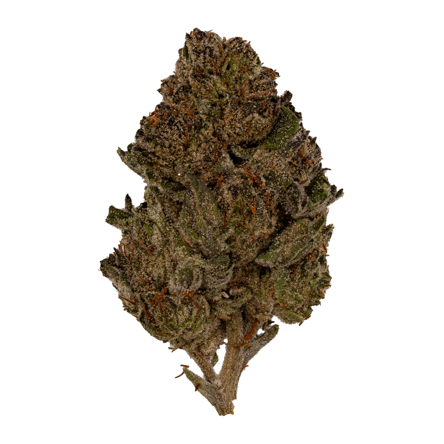 LA Kush THCA Flower | Nugs™ Premium Exotic Hybrid