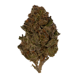 LA Kush THCA Flower | Nugs™ Premium Exotic Hybrid