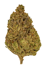 Hash Burger | Light Dep by THCA Nugs