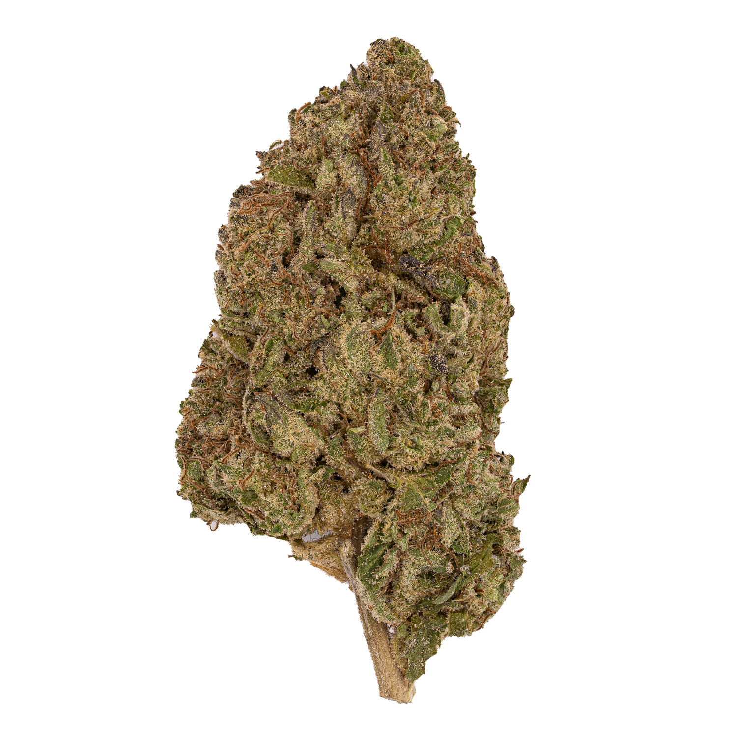 Jet fuel OG  | Light Dep by THCA Nugs