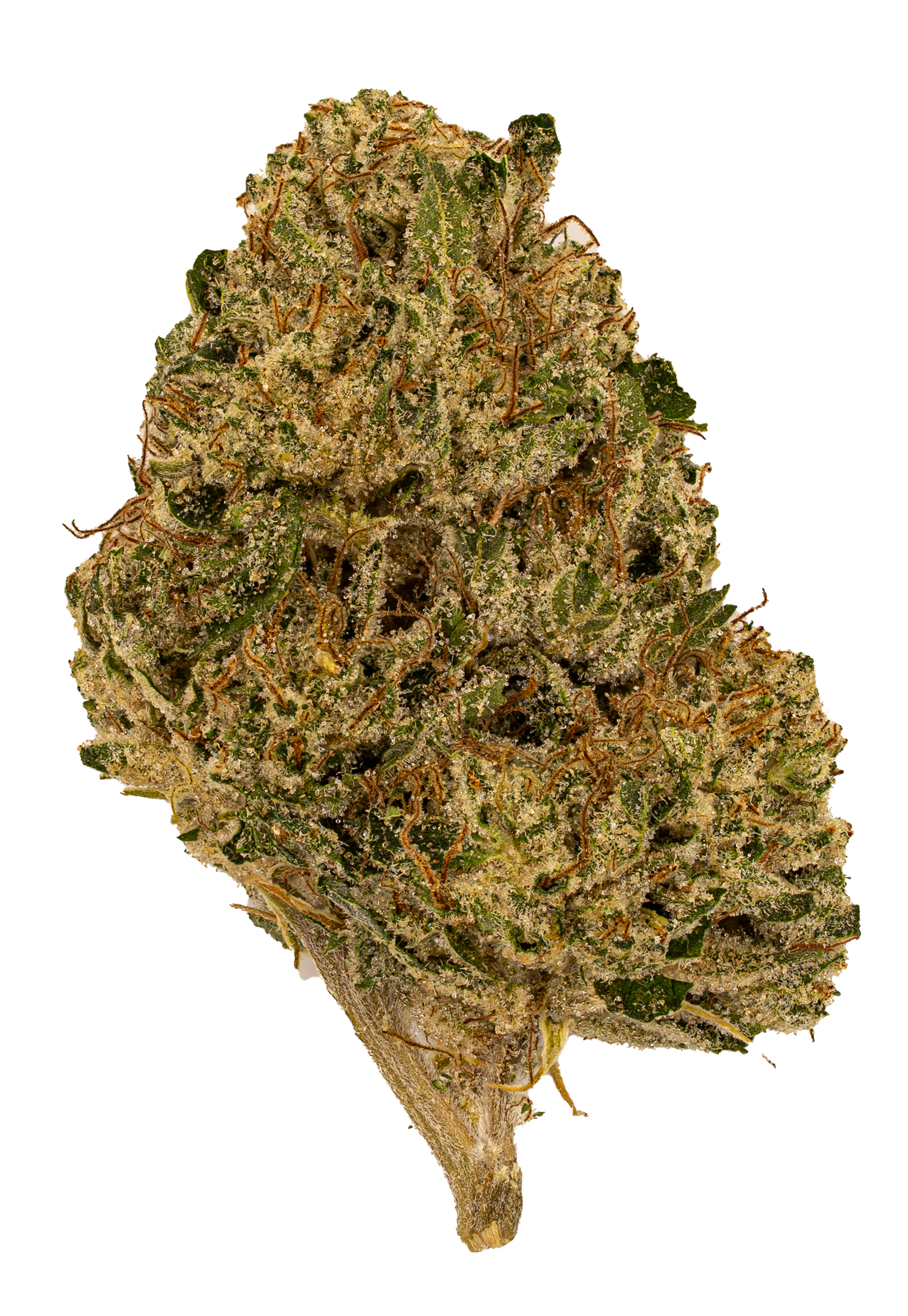 Wedding Cake | Light Dep by THCA Nugs