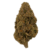 Biscotti THCA Flower | Nugs™ Premium Exotic Hybrid