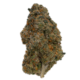 Gold Rose Runtz THCA Flower | Nugs™ Premium Exotic Hybrid