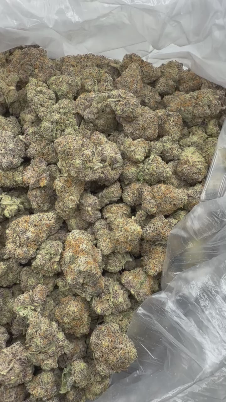 Black Amber | Exotics by THCA Nugs™