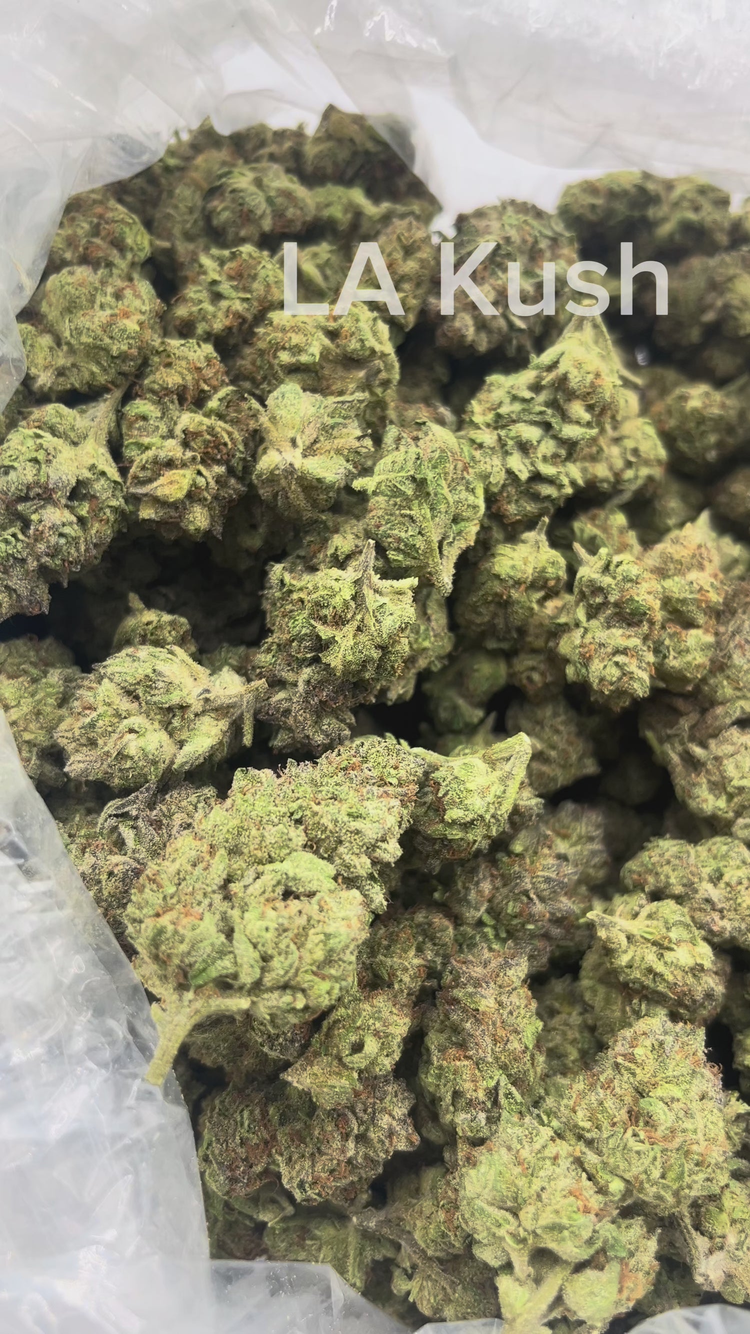 LA Kush THCA Flower | Nugs™ Premium Exotic Hybrid