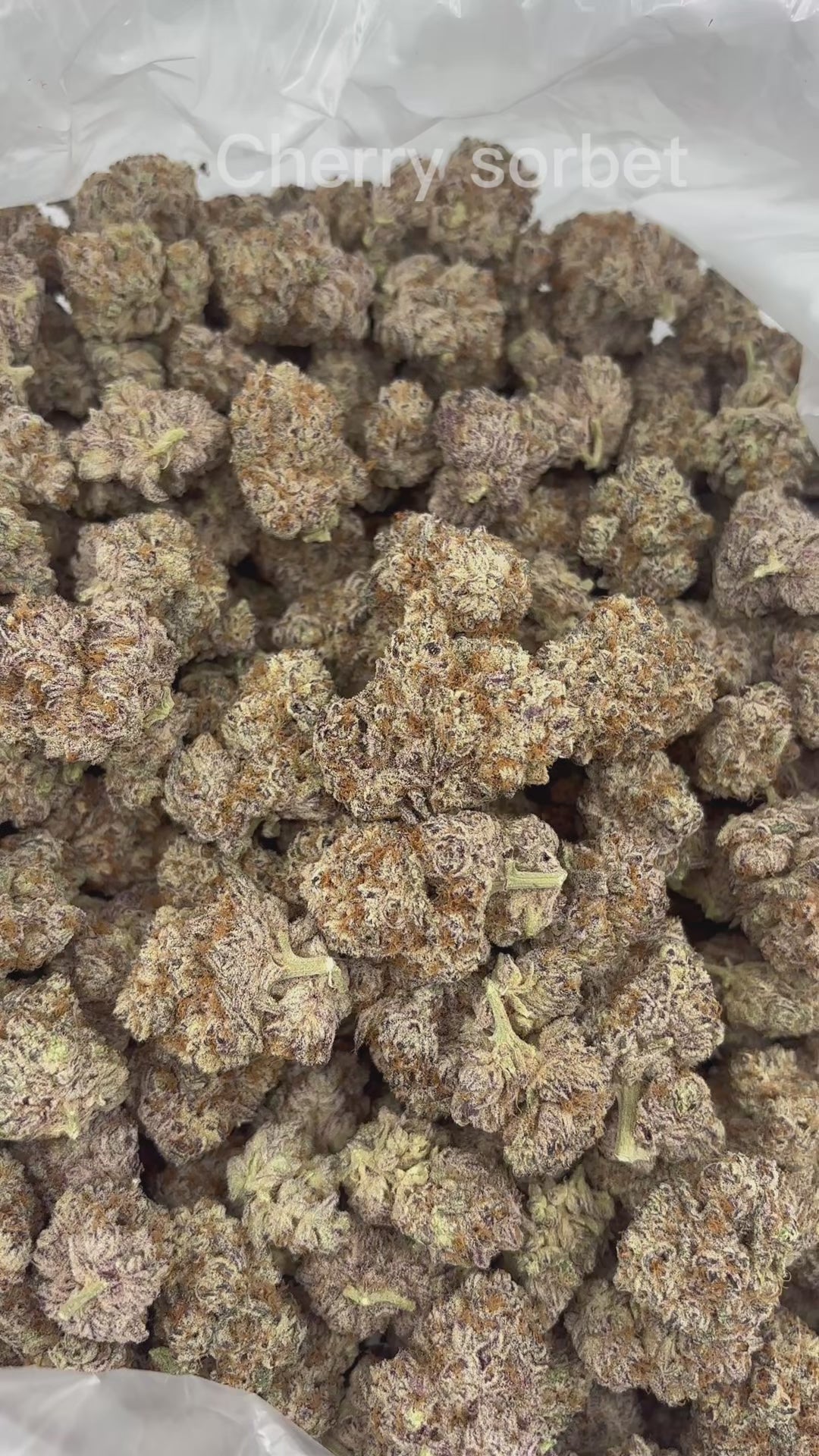Cherry Sorbet THCA Flower | Nugs™ Premium Exotic Hybrid