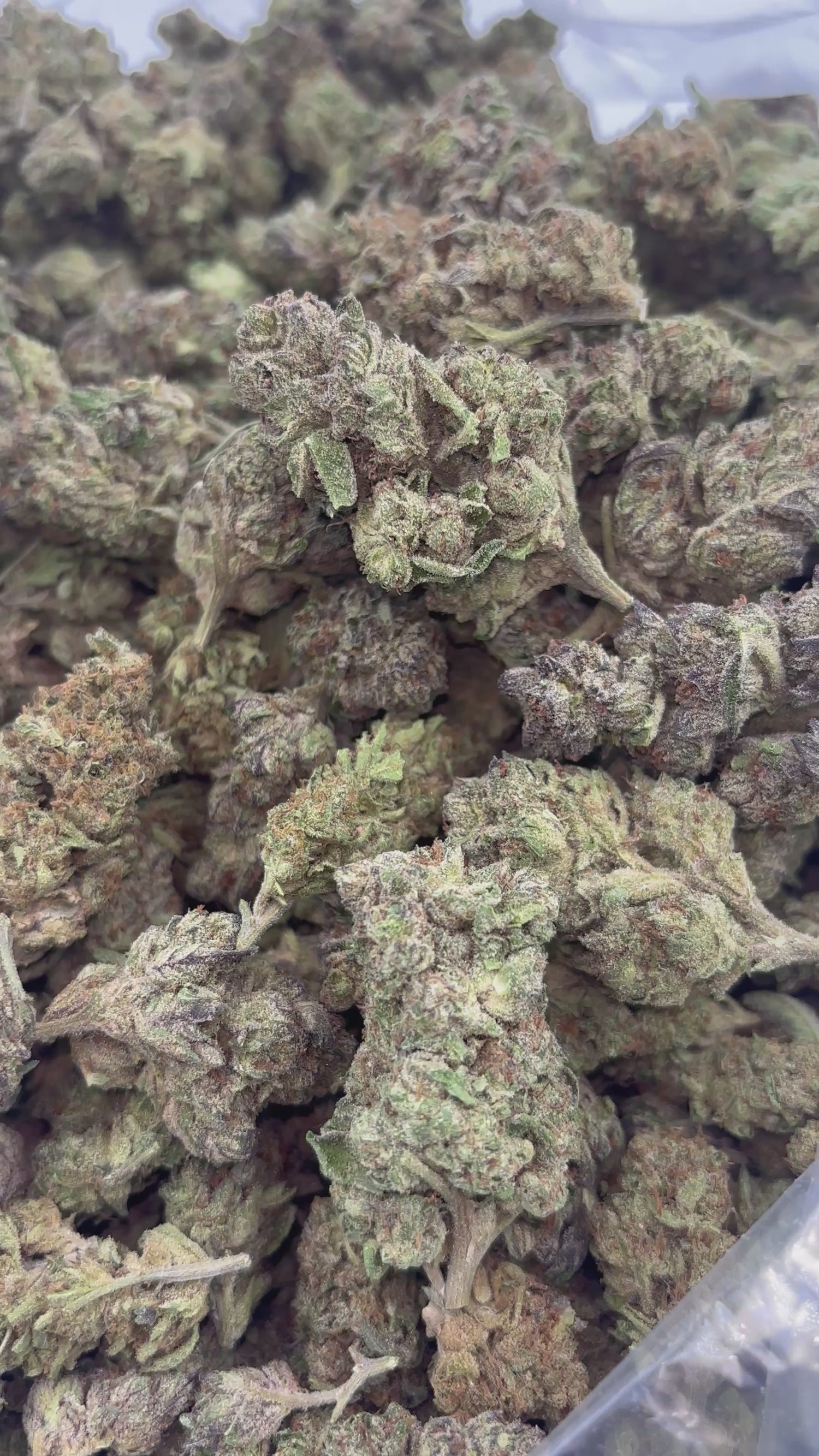 Obama Runtz | Exotics by THCA Nugs™