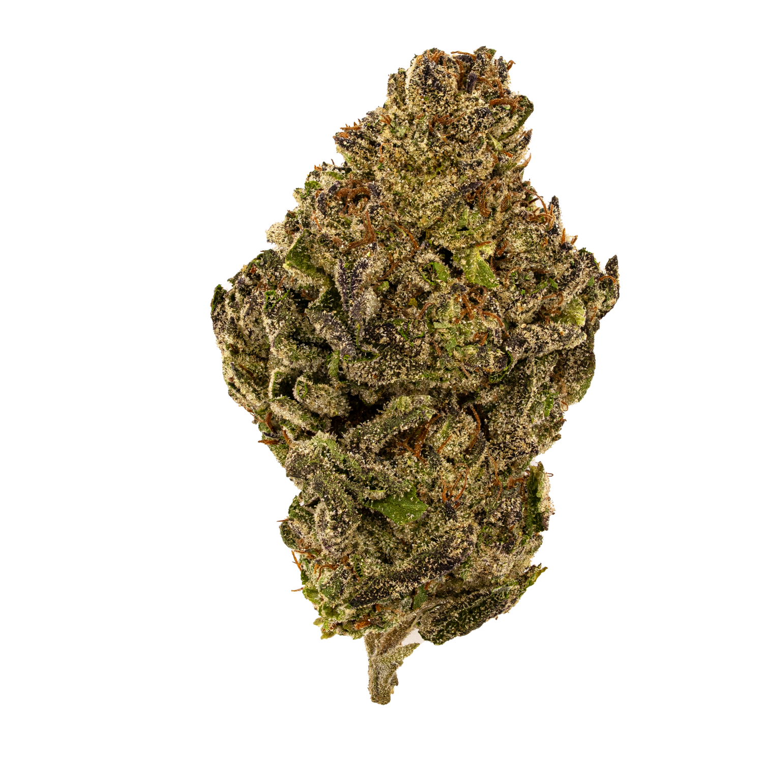 Obama Runtz THCA Flower | Nugs™ Premium Exotic Hybrid