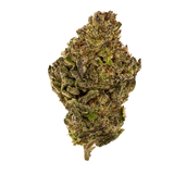 Obama Runtz THCA Flower | Nugs™ Premium Exotic Hybrid